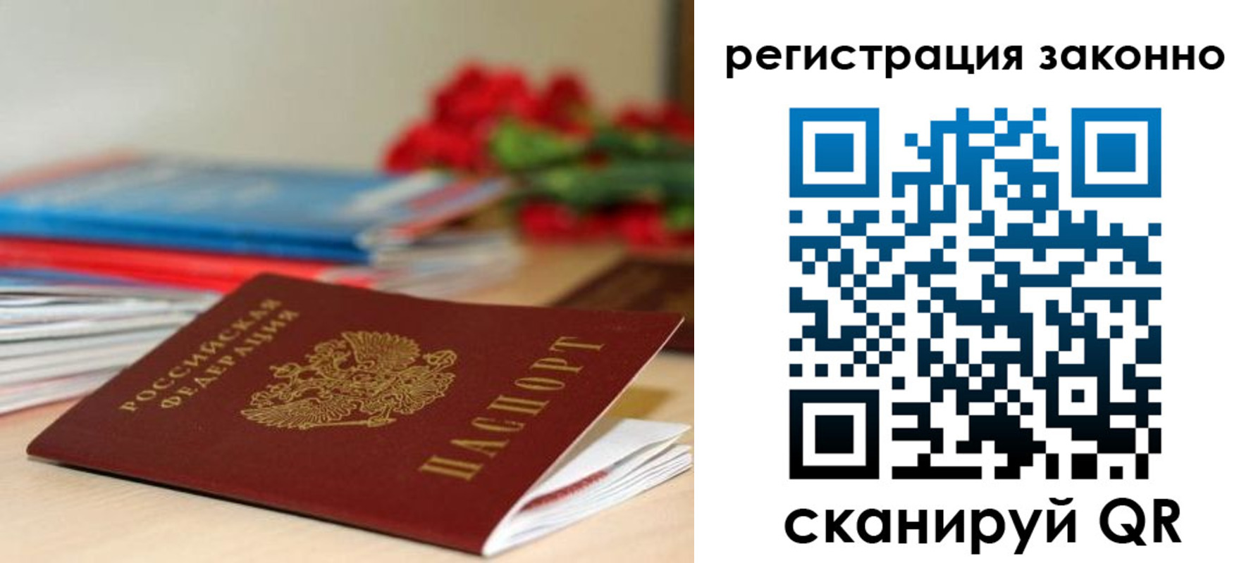 временная регистрация для всех в Елизово