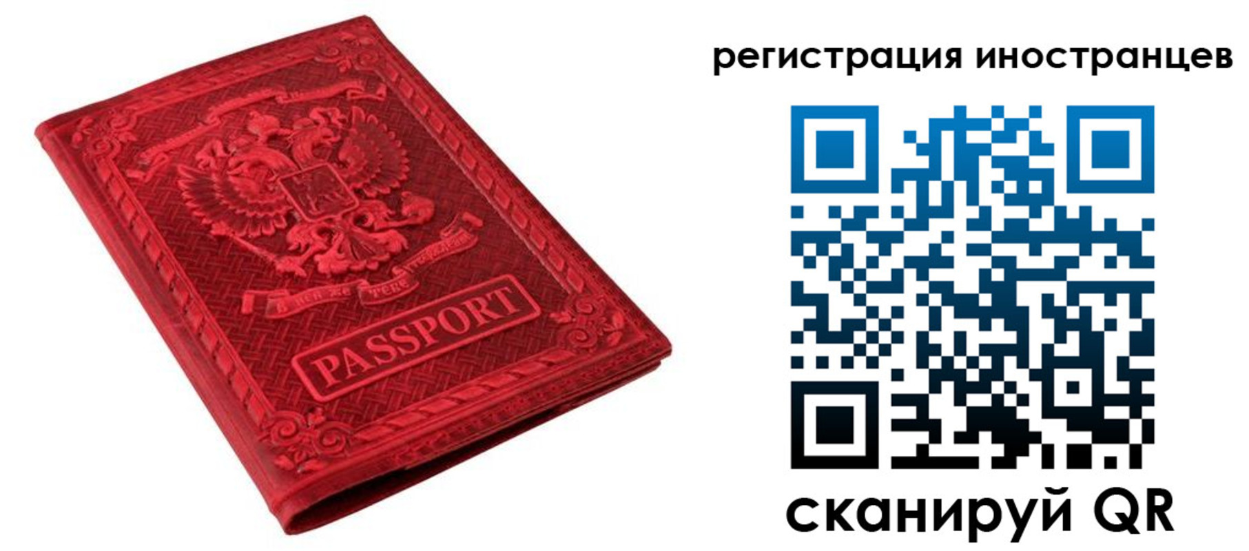 временная регистрация адрес в Елизово