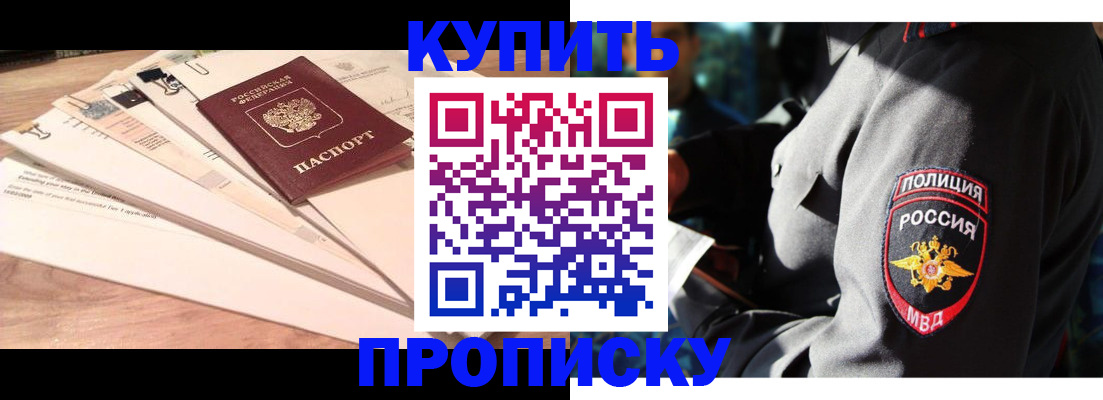 прописка поиск в Елизово